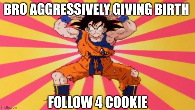 LMAO | BRO AGGRESSIVELY GIVING BIRTH; FOLLOW 4 COOKIE | image tagged in dragon ball z | made w/ Imgflip meme maker
