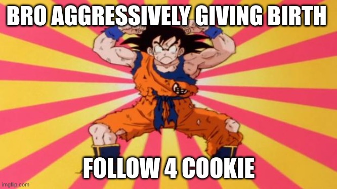 LMAO | BRO AGGRESSIVELY GIVING BIRTH; FOLLOW 4 COOKIE | image tagged in dragon ball z | made w/ Imgflip meme maker
