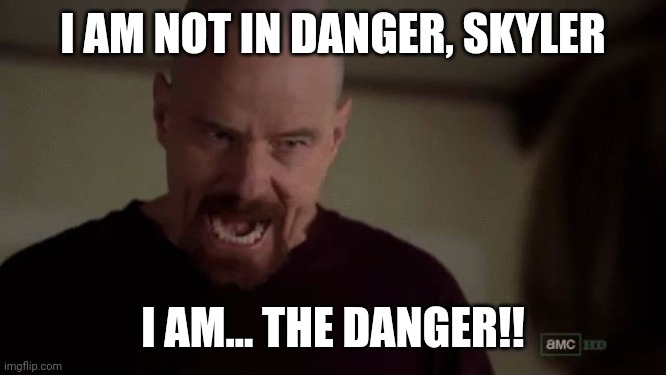 I am the danger | I AM NOT IN DANGER, SKYLER I AM... THE DANGER!! | image tagged in i am the danger | made w/ Imgflip meme maker