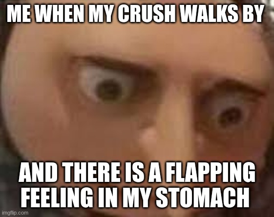 Gru Face | ME WHEN MY CRUSH WALKS BY; AND THERE IS A FLAPPING FEELING IN MY STOMACH | image tagged in gru face | made w/ Imgflip meme maker