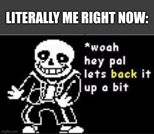 woah hey pal lets back it up a bit | LITERALLY ME RIGHT NOW: | image tagged in woah hey pal lets back it up a bit | made w/ Imgflip meme maker
