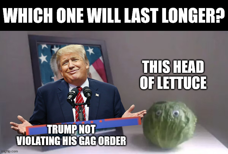 I got money on the lettuce | WHICH ONE WILL LAST LONGER? THIS HEAD OF LETTUCE; TRUMP NOT VIOLATING HIS GAG ORDER | image tagged in kevin or lettuce | made w/ Imgflip meme maker