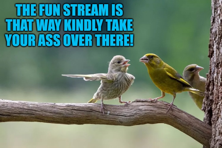 THE FUN STREAM IS THAT WAY KINDLY TAKE YOUR ASS OVER THERE! | made w/ Imgflip meme maker