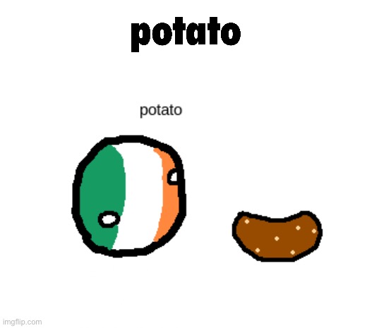 potato | POTATO | image tagged in ireland,potato,irish potatoes | made w/ Imgflip meme maker