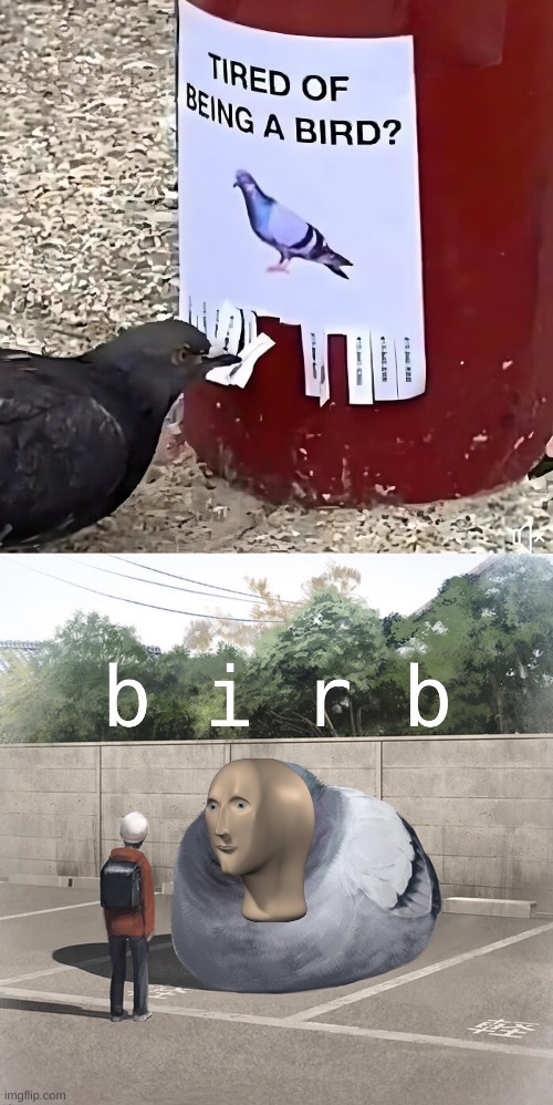 Oh no what are they going to turn into now | image tagged in meme man birb | made w/ Imgflip meme maker