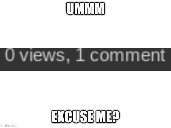 What... | UMMM; EXCUSE ME? | image tagged in what | made w/ Imgflip meme maker