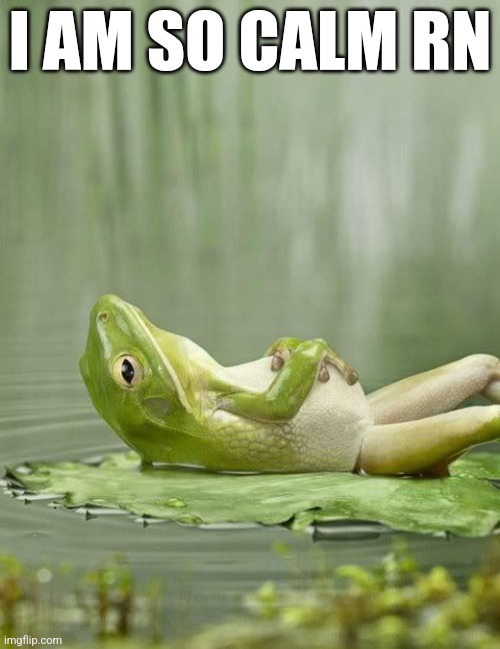Or am I? *vsauce music plays* | I AM SO CALM RN | image tagged in chillinfrog | made w/ Imgflip meme maker