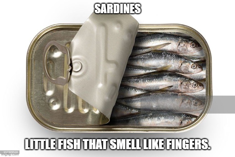 SARDINES...little fish that smell like fingers. | SARDINES; LITTLE FISH THAT SMELL LIKE FINGERS. | image tagged in sardines,fish | made w/ Imgflip meme maker