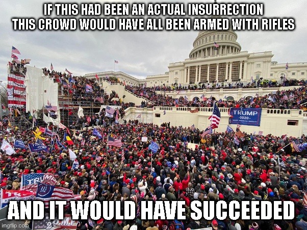 IF THIS HAD BEEN AN ACTUAL INSURRECTION THIS CROWD WOULD HAVE ALL BEEN ARMED WITH RIFLES; AND IT WOULD HAVE SUCCEEDED | made w/ Imgflip meme maker