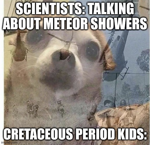 PTSD Chihuahua | SCIENTISTS: TALKING ABOUT METEOR SHOWERS; CRETACEOUS PERIOD KIDS: | image tagged in ptsd chihuahua | made w/ Imgflip meme maker