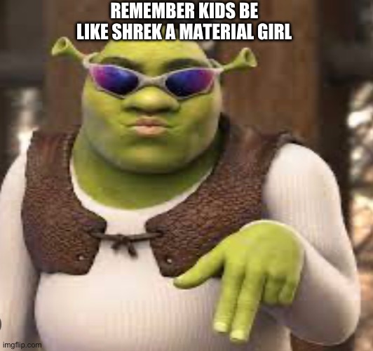 REMEMBER KIDS BE LIKE SHREK A MATERIAL GIRL | made w/ Imgflip meme maker