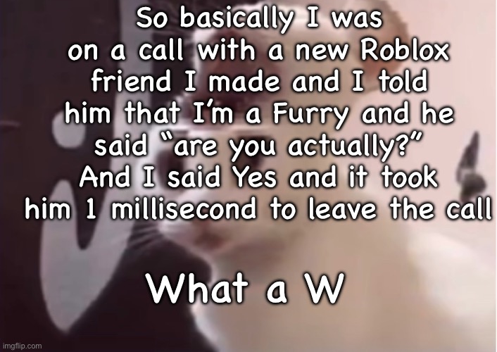 Am not a furry | So basically I was on a call with a new Roblox friend I made and I told him that I’m a Furry and he said “are you actually?” And I said Yes and it took him 1 millisecond to leave the call; What a W | image tagged in shocked cat | made w/ Imgflip meme maker