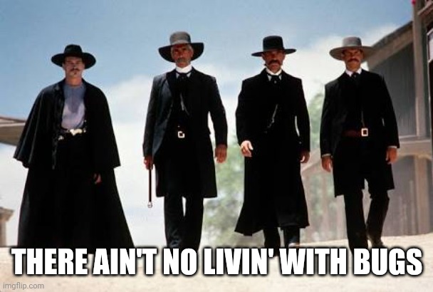Tombstone | THERE AIN'T NO LIVIN' WITH BUGS | image tagged in tombstone | made w/ Imgflip meme maker