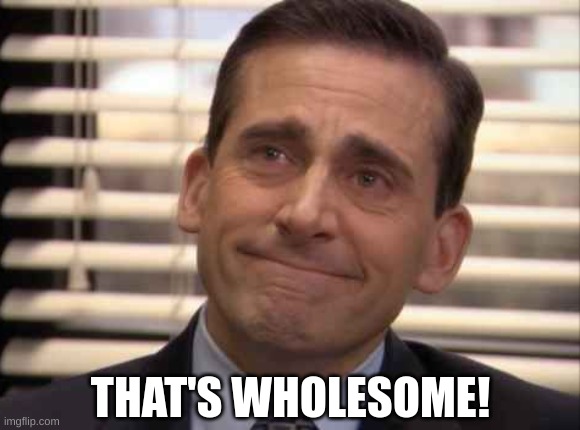 wholesome | THAT'S WHOLESOME! | image tagged in wholesome | made w/ Imgflip meme maker