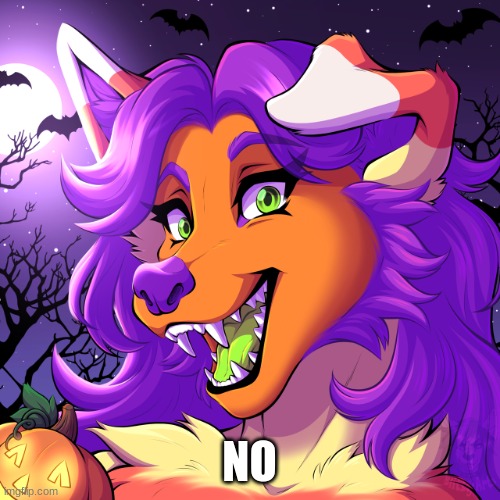 candy wolf | NO | image tagged in candy wolf | made w/ Imgflip meme maker