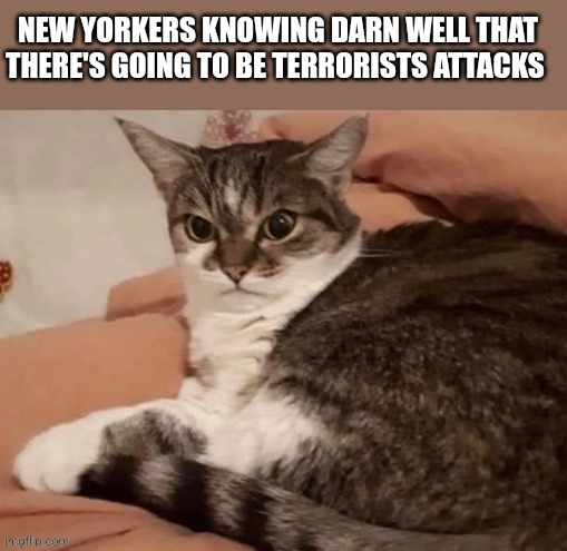 NEW YORKERS KNOWING DARN WELL THAT THERE'S GOING TO BE TERRORISTS ATTACKS | image tagged in funny memes | made w/ Imgflip meme maker