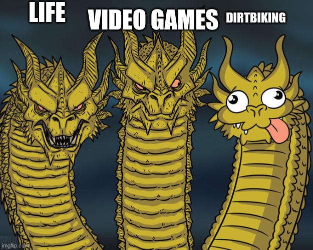 Three-headed Dragon | LIFE; VIDEO GAMES; DIRTBIKING | image tagged in three-headed dragon | made w/ Imgflip meme maker