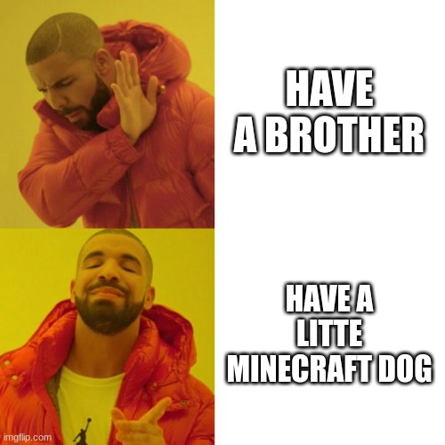Drake Blank | HAVE A BROTHER; HAVE A LITTE MINECRAFT DOG | image tagged in drake blank | made w/ Imgflip meme maker