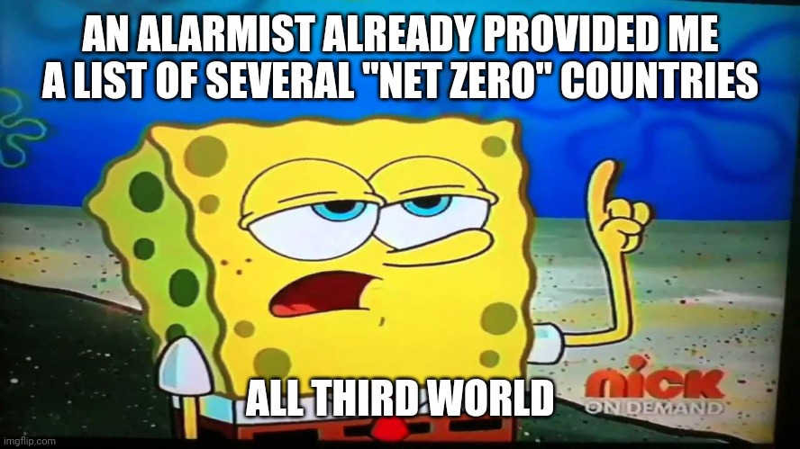 spongebob ill have you know  | AN ALARMIST ALREADY PROVIDED ME A LIST OF SEVERAL "NET ZERO" COUNTRIES ALL THIRD WORLD | image tagged in spongebob ill have you know | made w/ Imgflip meme maker