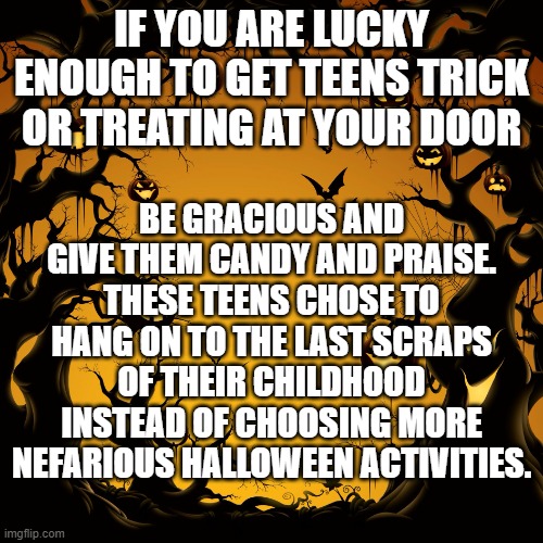 Halloween  | IF YOU ARE LUCKY ENOUGH TO GET TEENS TRICK OR TREATING AT YOUR DOOR; BE GRACIOUS AND GIVE THEM CANDY AND PRAISE.
THESE TEENS CHOSE TO HANG ON TO THE LAST SCRAPS OF THEIR CHILDHOOD INSTEAD OF CHOOSING MORE NEFARIOUS HALLOWEEN ACTIVITIES. | image tagged in halloween | made w/ Imgflip meme maker