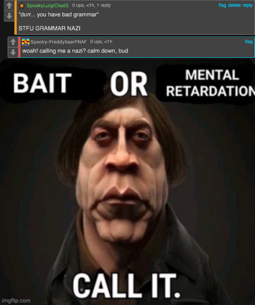 grammar nazi just means someone who is super strict about grammar to an annoying stretch | image tagged in bait or mental retardation | made w/ Imgflip meme maker