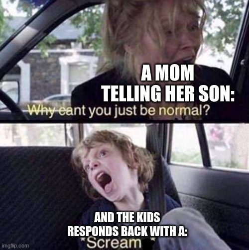 Why Can't You Just Be Normal | A MOM TELLING HER SON:; AND THE KIDS RESPONDS BACK WITH A: | image tagged in why can't you just be normal | made w/ Imgflip meme maker