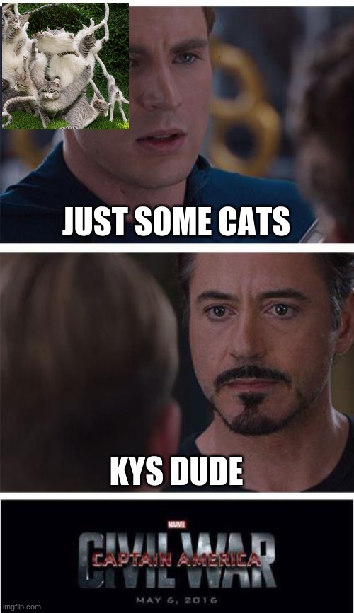 looky | JUST SOME CATS; KYS DUDE | image tagged in memes,marvel civil war 1 | made w/ Imgflip meme maker