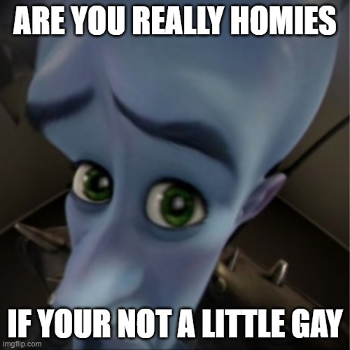 It's not homo if it's the homies | ARE YOU REALLY HOMIES; IF YOUR NOT A LITTLE GAY | image tagged in megamind peeking | made w/ Imgflip meme maker