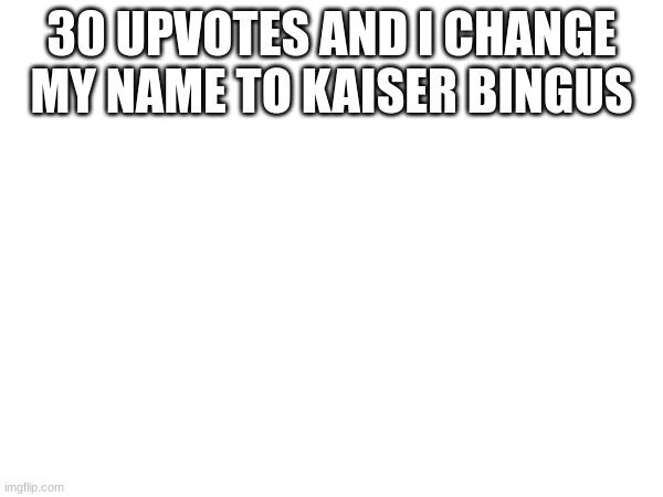 cuz why not | 30 UPVOTES AND I CHANGE MY NAME TO KAISER BINGUS | made w/ Imgflip meme maker