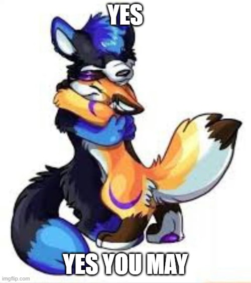 Furry Hugs | YES YES YOU MAY | image tagged in furry hugs | made w/ Imgflip meme maker