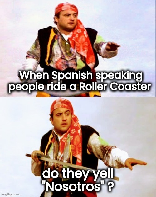 There are no Stupid Questions | When Spanish speaking people ride a Roller Coaster; do they yell "Nosotros" ? | image tagged in pirate joke,languages,what are you talking about,no please you don't understand | made w/ Imgflip meme maker