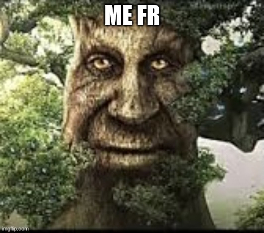 Wise mytical tree | ME FR | image tagged in wise mytical tree | made w/ Imgflip meme maker