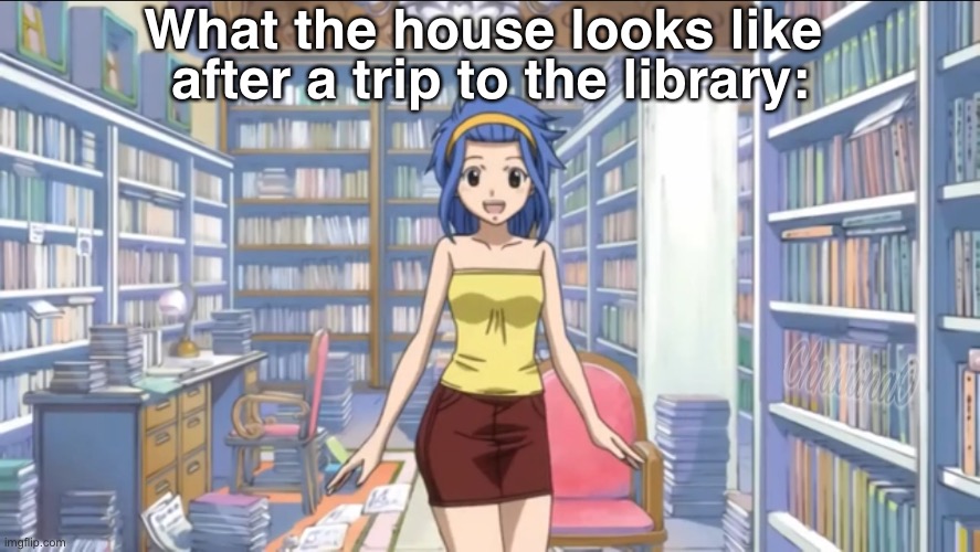 Fairy Tail Meme Library | What the house looks like; after a trip to the library: | image tagged in memes,books,fairy tail memes,levy fairy tail,fairy tail meme,geek | made w/ Imgflip meme maker