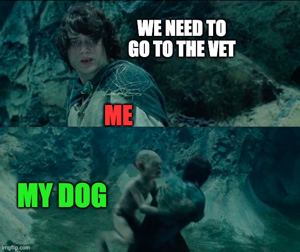 THE VET???? | WE NEED TO GO TO THE VET; ME; MY DOG | image tagged in i need to destroy the ring | made w/ Imgflip meme maker