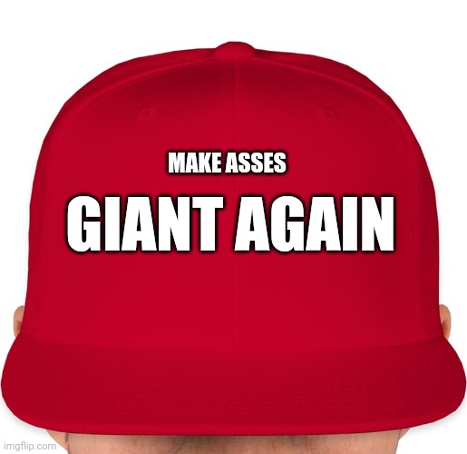All the single ladies | MAKE ASSES; GIANT AGAIN | image tagged in maga,make,ass,giant,again | made w/ Imgflip meme maker