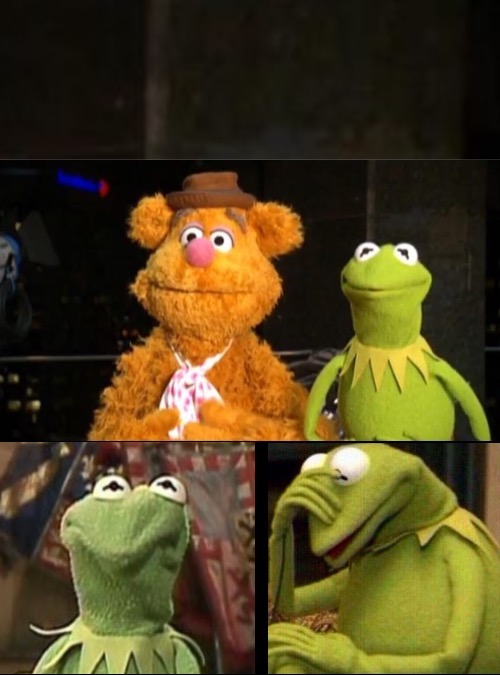 bad pun Fozzie and Kermit Blank Meme Template