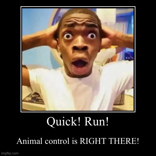 Monke | Quick! Run! | Animal control is RIGHT THERE! | image tagged in funny,demotivationals | made w/ Imgflip demotivational maker