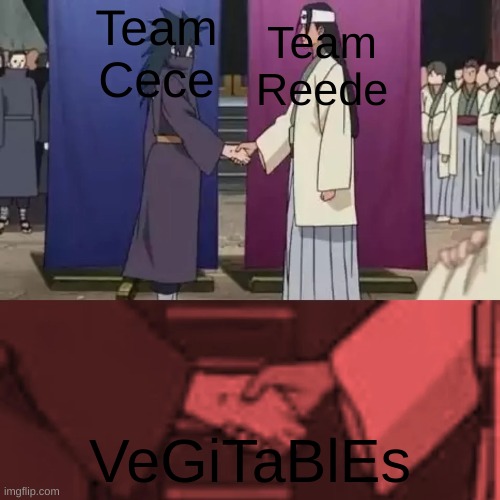 Personally, I'm team Cece | Team Cece; Team Reede; VeGiTaBlEs | image tagged in anime characters shaking hands | made w/ Imgflip meme maker