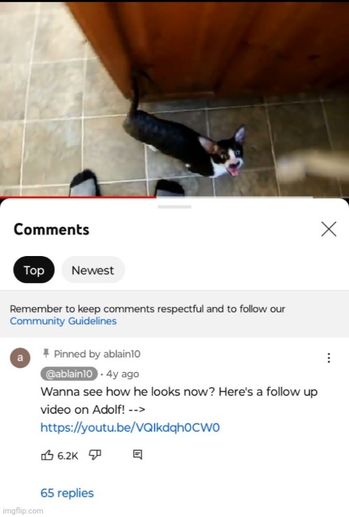 made w/ Imgflip meme maker