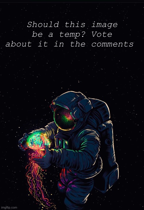 Should this image be a temp? Vote about it in the comments | made w/ Imgflip meme maker
