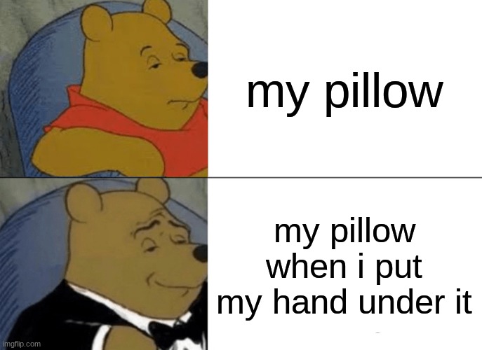 idk if its just me but the pillow feels better | my pillow; my pillow when i put my hand under it | image tagged in memes,tuxedo winnie the pooh | made w/ Imgflip meme maker