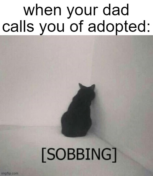 you're not adopted | when your dad calls you of adopted: | image tagged in sobbing cat,cats | made w/ Imgflip meme maker