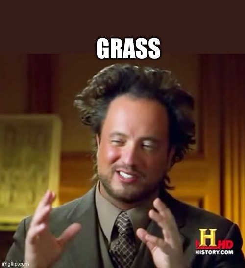 Ancient Aliens Meme | GRASS | image tagged in memes,ancient aliens,touch grass,grass,depression | made w/ Imgflip meme maker