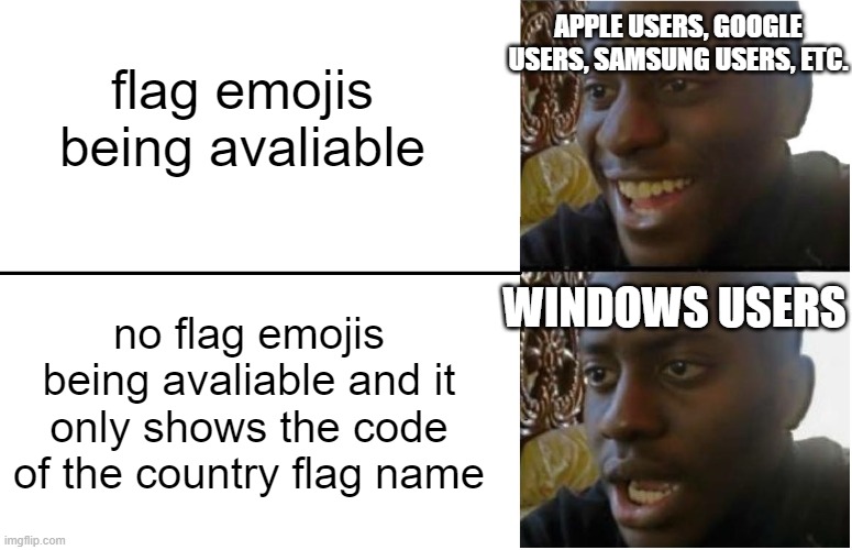 oof. | APPLE USERS, GOOGLE USERS, SAMSUNG USERS, ETC. flag emojis being avaliable; no flag emojis being avaliable and it only shows the code of the country flag name; WINDOWS USERS | image tagged in disappointed black guy | made w/ Imgflip meme maker