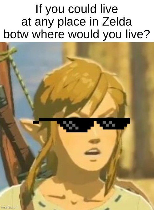 I would pick Gerudo, Eldin, or Kakariko Village | If you could live at any place in Zelda botw where would you live? | image tagged in barney will eat all of your delectable biscuits | made w/ Imgflip meme maker