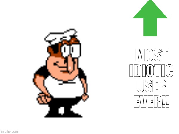 The MOST IDIOTIC USER EVER | MOST IDIOTIC USER EVER!! | image tagged in idiotic user | made w/ Imgflip meme maker