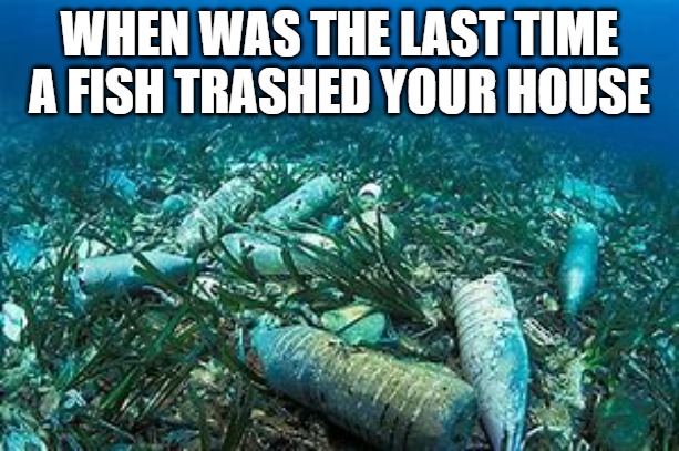 We f**king up | WHEN WAS THE LAST TIME
A FISH TRASHED YOUR HOUSE | image tagged in pollution,plastic straws | made w/ Imgflip meme maker