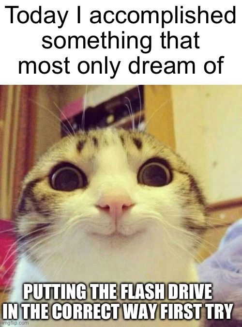 I did it | Today I accomplished something that most only dream of; PUTTING THE FLASH DRIVE IN THE CORRECT WAY FIRST TRY | image tagged in memes,smiling cat | made w/ Imgflip meme maker