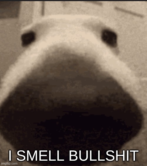 Sniff dog | I SMELL BULLSHIT | image tagged in sniff dog | made w/ Imgflip meme maker