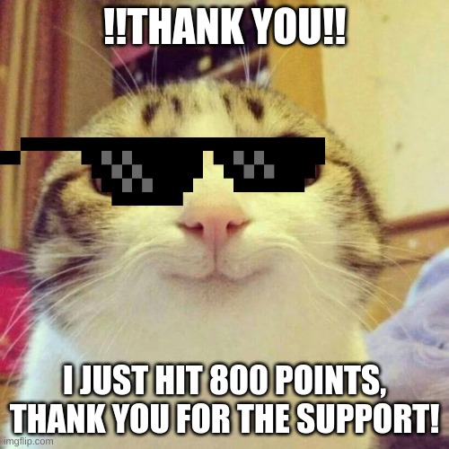 THANK YOU FOR THE SUPPORT! | !!THANK YOU!! I JUST HIT 800 POINTS, THANK YOU FOR THE SUPPORT! | image tagged in memes,smiling cat | made w/ Imgflip meme maker